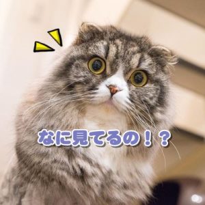 check01