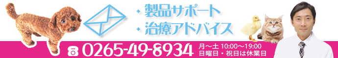 お問い合わせページ