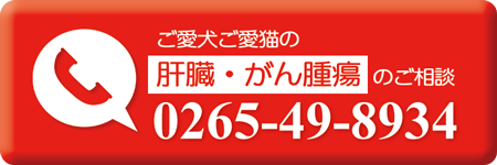 お問い合わせページ