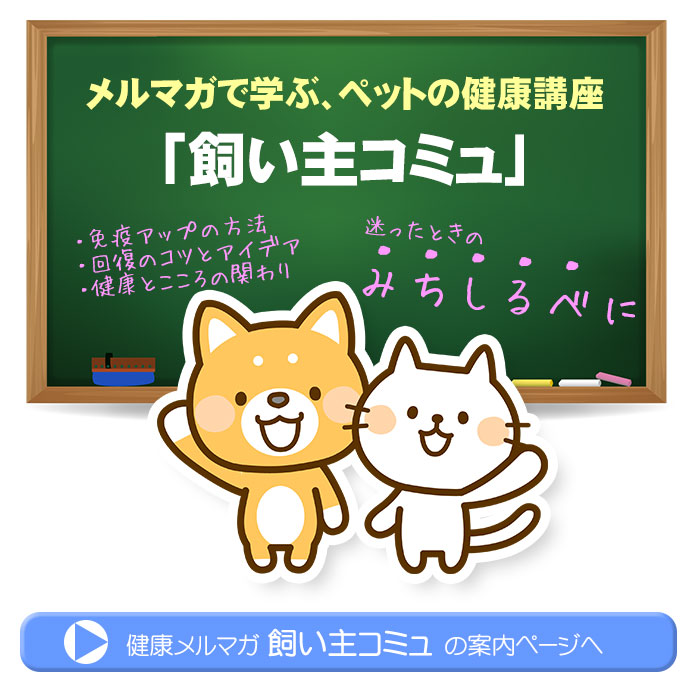 メールマガジン