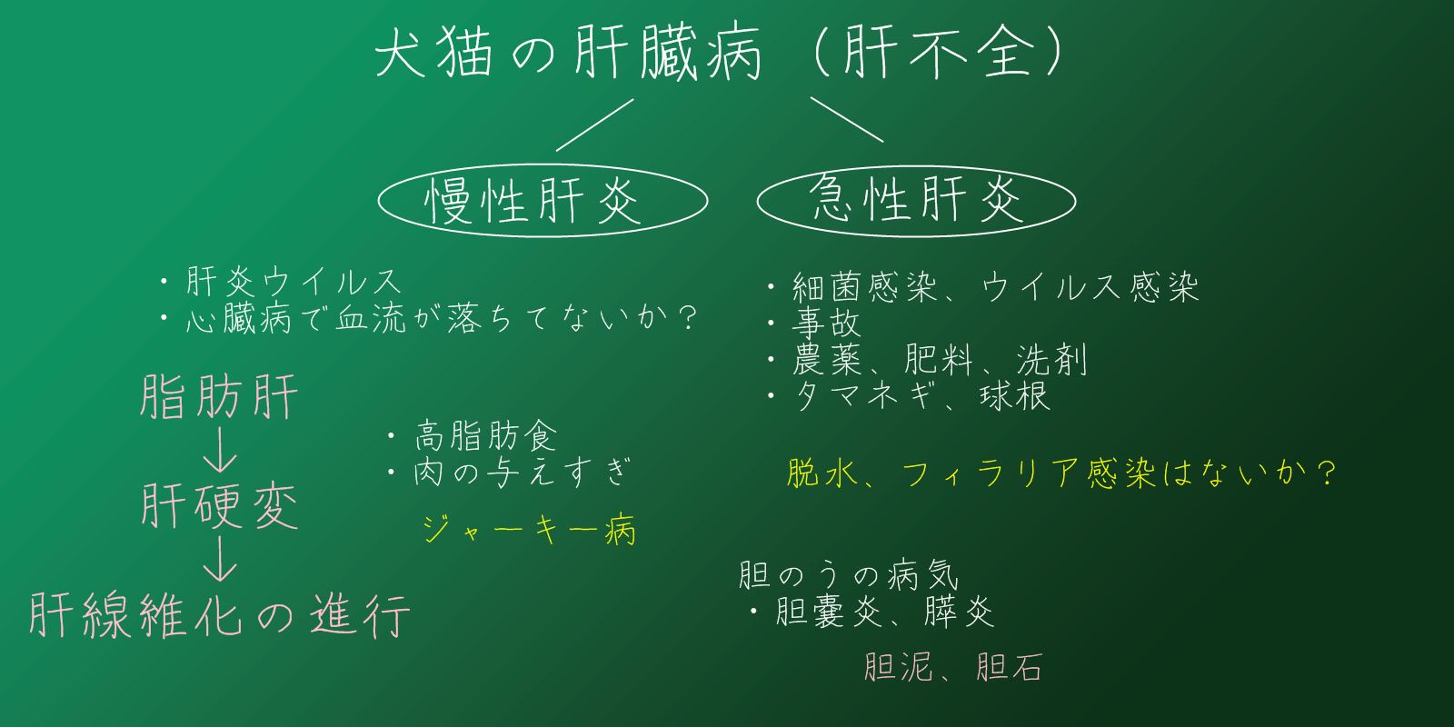 犬猫たちの肝臓を壊しやすい4つの薬 メディネクス研究所