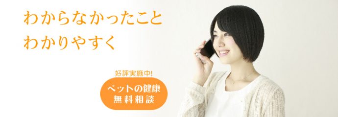 ペット健康相談