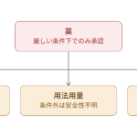 薬の本質的な理解