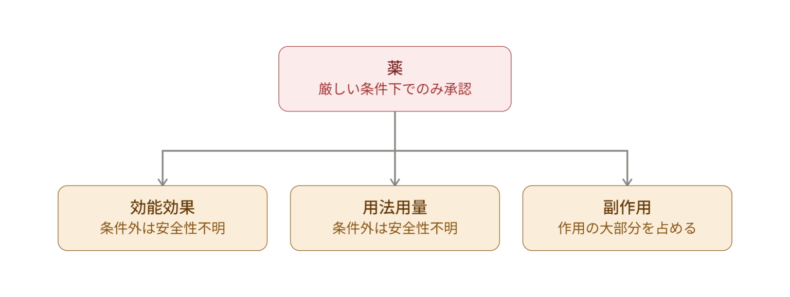 薬の本質的な理解