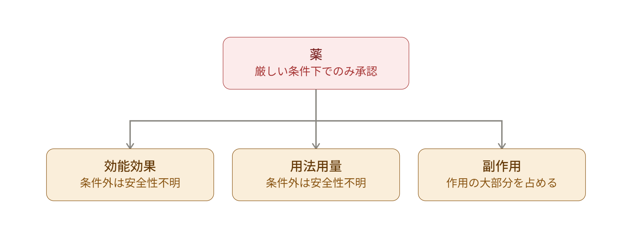薬の本質的な理解