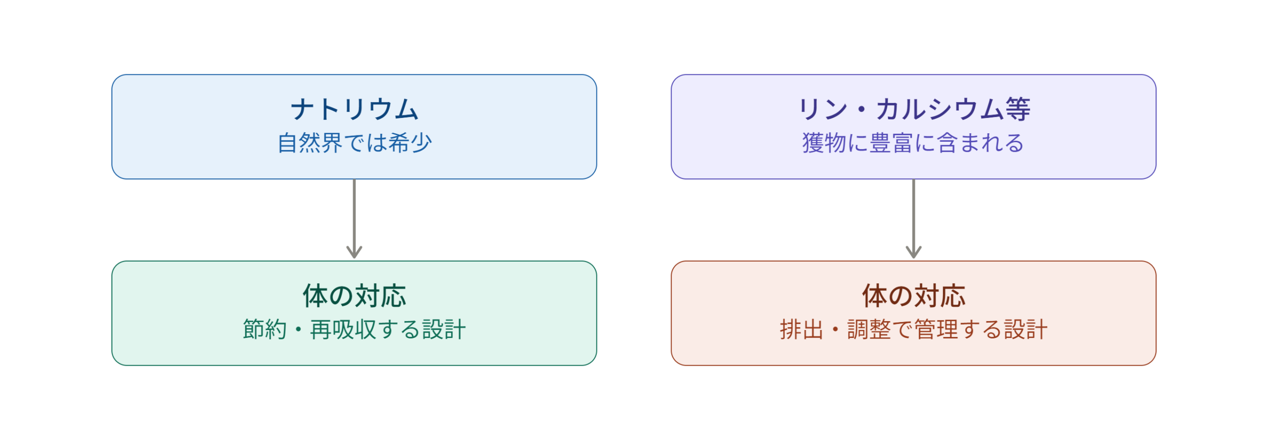 ミネラルの摂りやすさ
